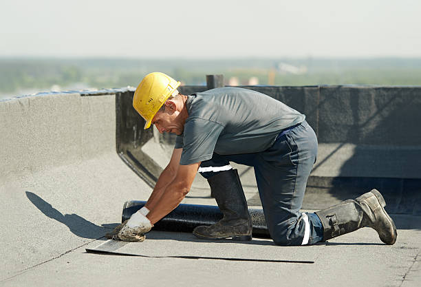Best DIY Insulation Kits and Guidance in Cockeysville, MD